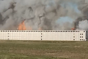 Massive Fire Engulfs Nation’s Largest Free-Range Egg Facility, Killing Over 1.2 Million Chickens