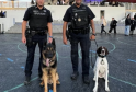 France Hires NYPD K-9s for Olympics Security