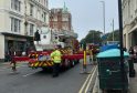 Seagull Rescued from Rooftop in Hove After Getting Trapped in Netting