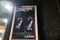 Controversial Lynx Africa Art Installation Sparks Debate in Brighton