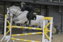 Wiltshire Police Triumph at Forces Equine Championships in Bedworth